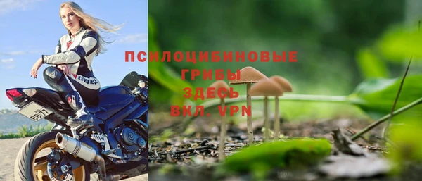 стафф Аксай