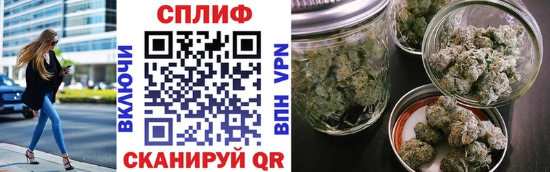 Канабис план  Кологрив 